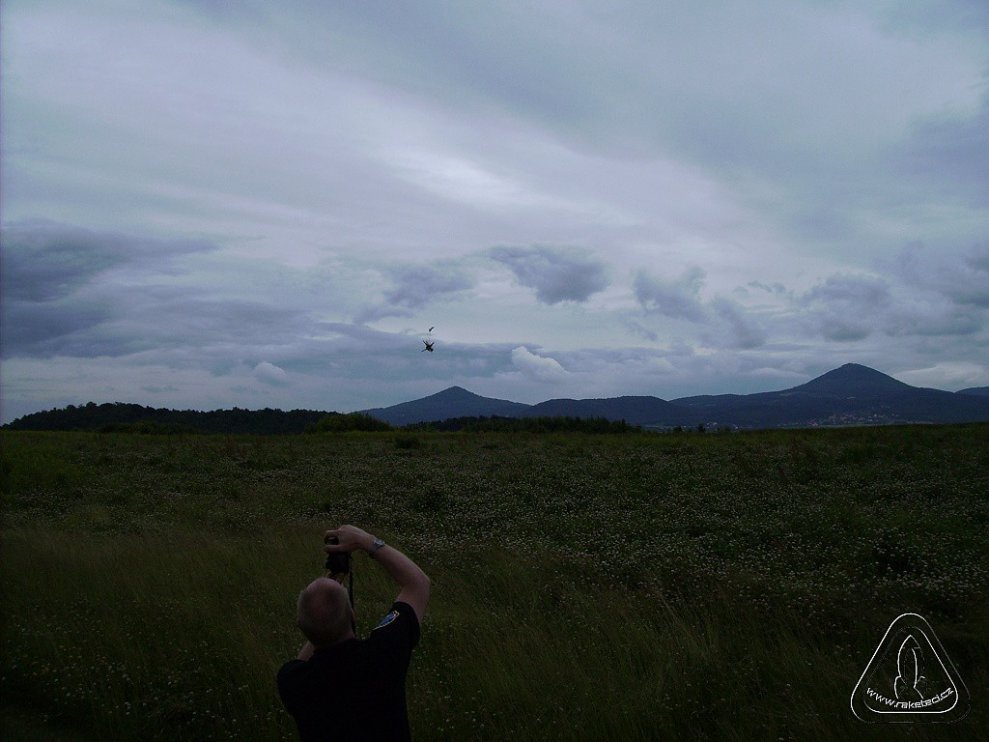 2013 Suche 29062013 Olivera